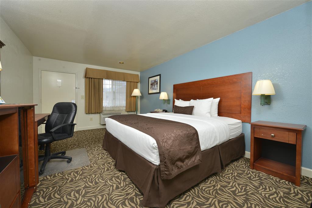 Motel Western Regency & Gonzales