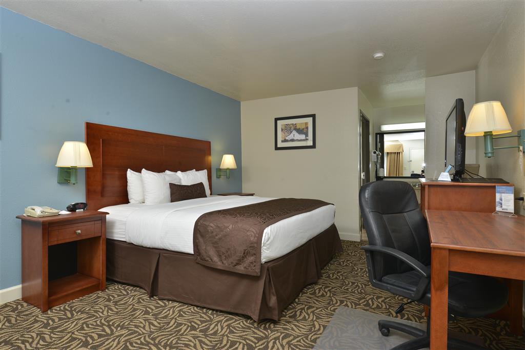 Motel Western Regency &